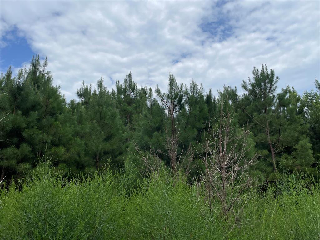 0 Edward Adams Road Property Photo 1