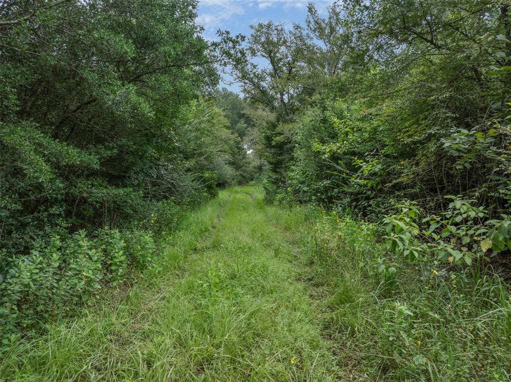 TBD West Caney Road
