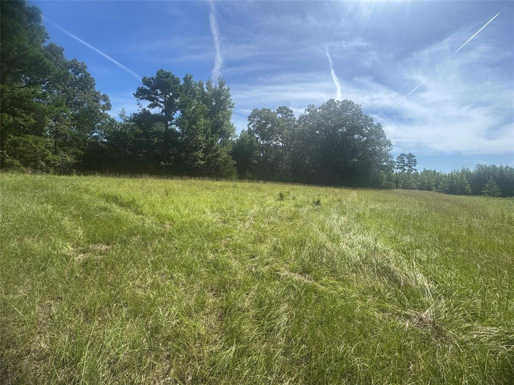 20.869 Ac Cr 4426 Property Photo 1
