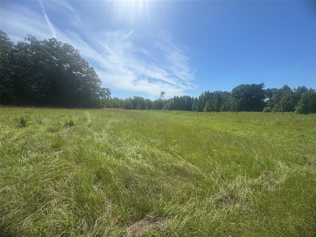 20.869 Ac Cr 4426 Property Photo 2