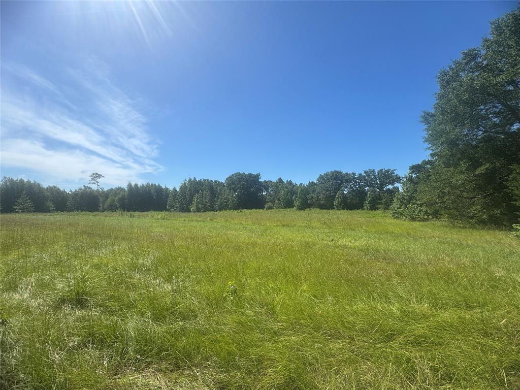 20.869 Ac Cr 4426 Property Photo 3