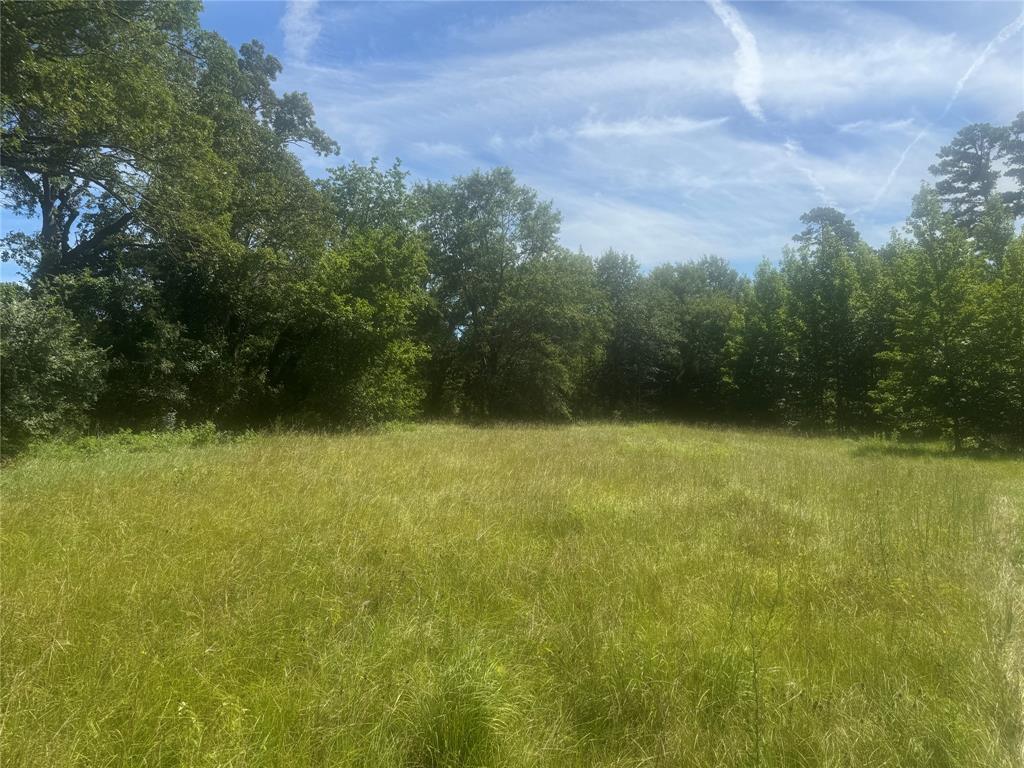 20.869 Ac Cr 4426 Property Photo 4