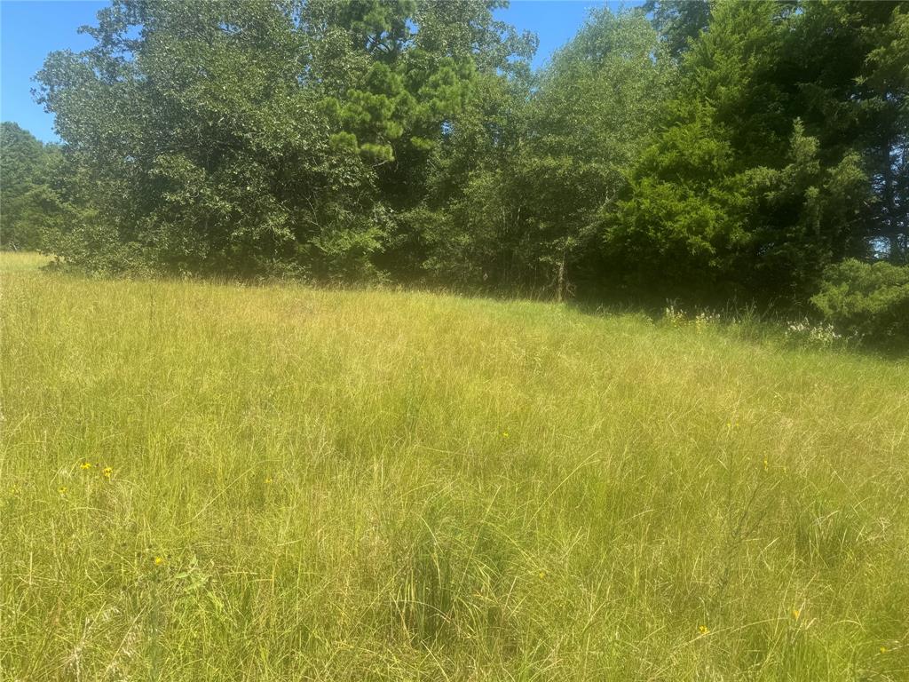 20.869 Ac Cr 4426 Property Photo 5