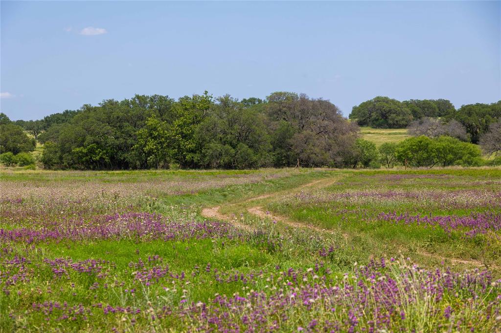 Tbd Hwy 84 Property Photo 1
