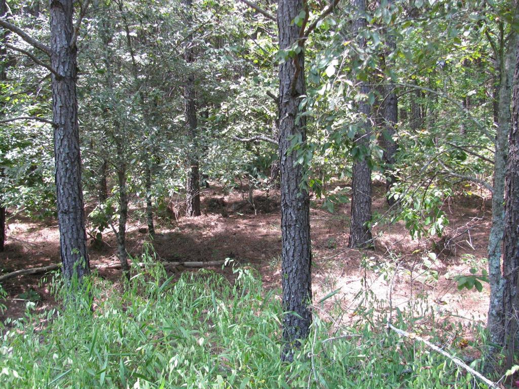 Tbd Josee's Journey Property Photo 1