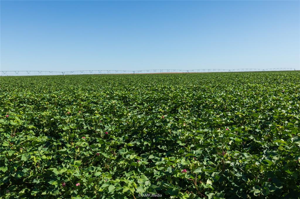 Tbd Cr 1691 Property Photo 1