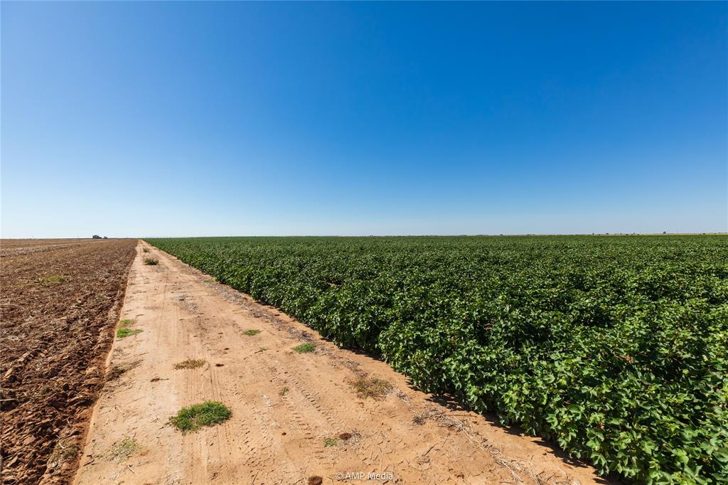Tbd Cr 1691 Property Photo 7