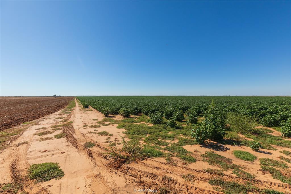Tbd Cr 1691 Property Photo 8