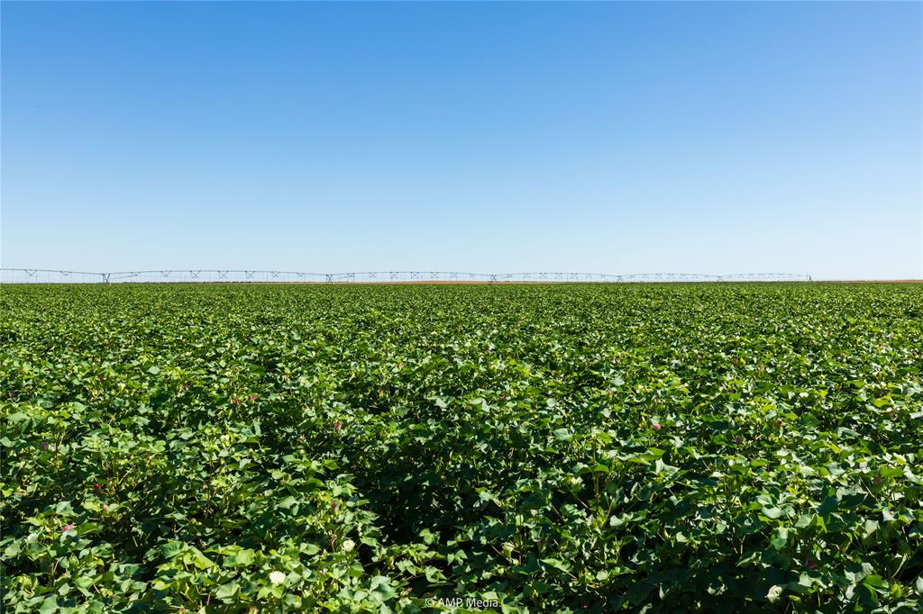 Tbd Cr 1691 Property Photo 13
