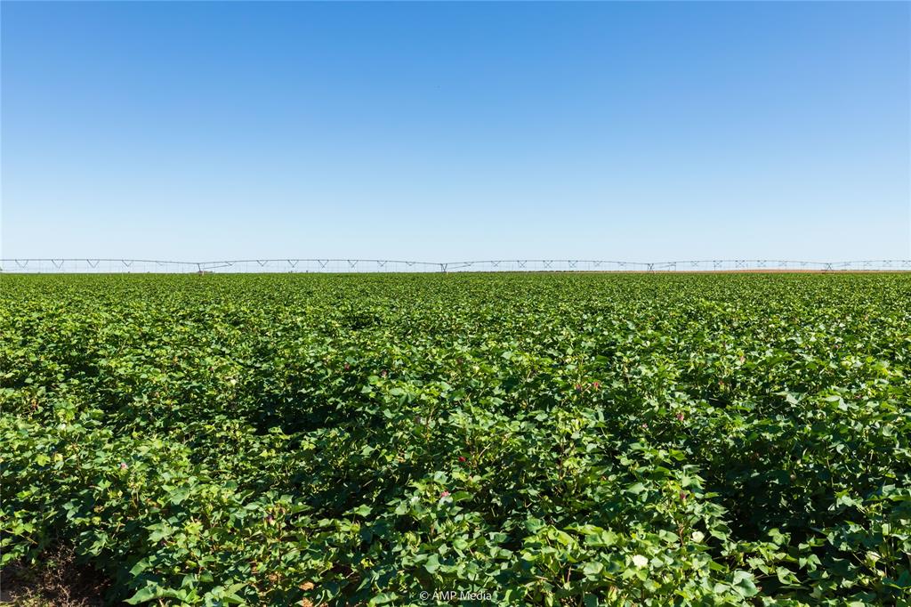 Tbd Cr 1691 Property Photo 14
