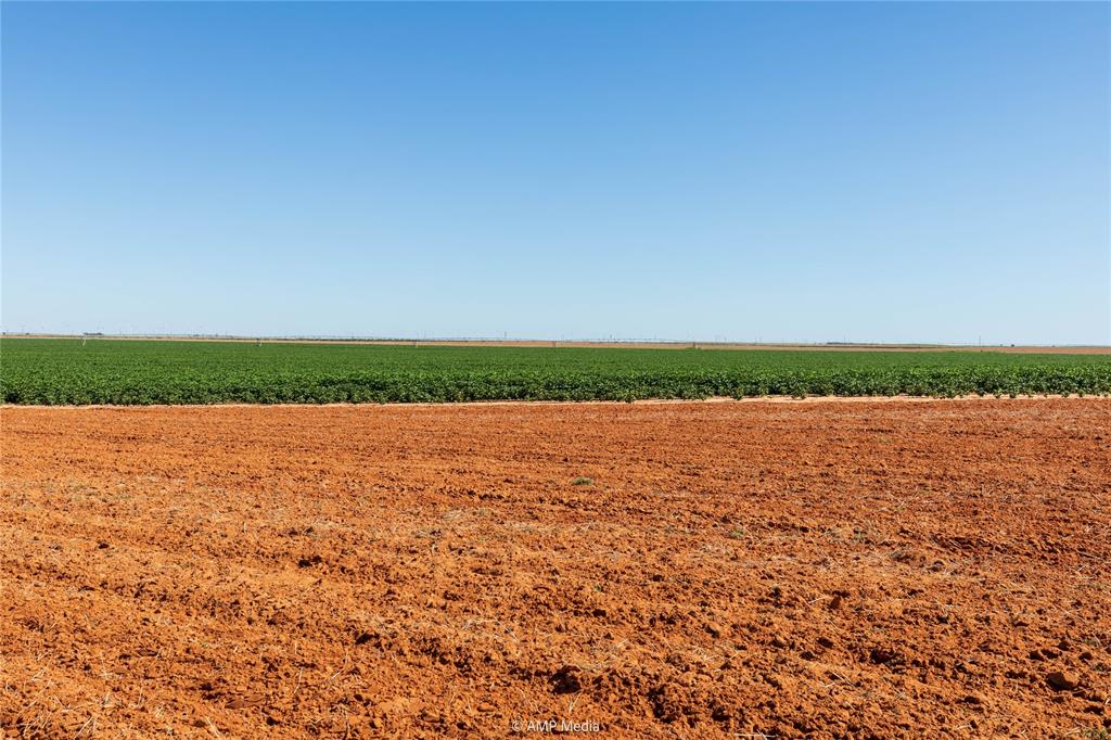 Tbd Cr 1691 Property Photo 15