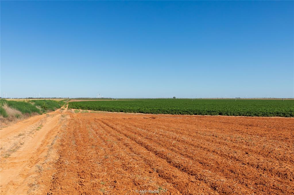 Tbd Cr 1691 Property Photo 16