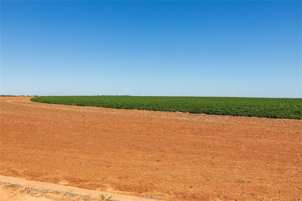 Tbd Cr 1691 Property Photo 18