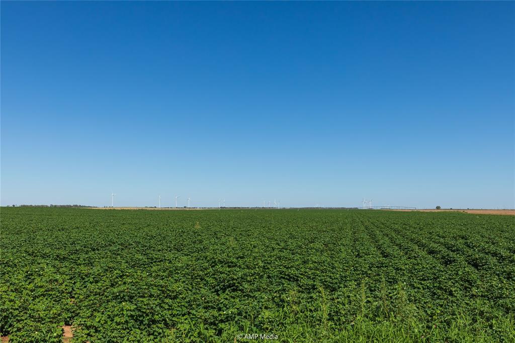 Tbd Cr 1691 Property Photo 19