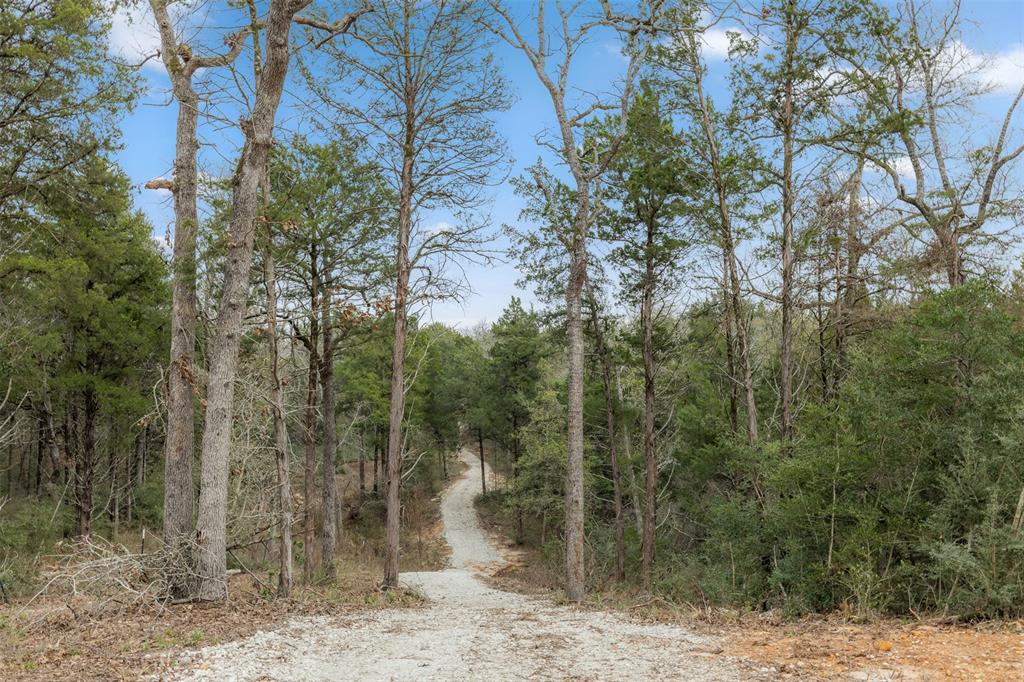 Tbd County Road 389 Property Photo 1