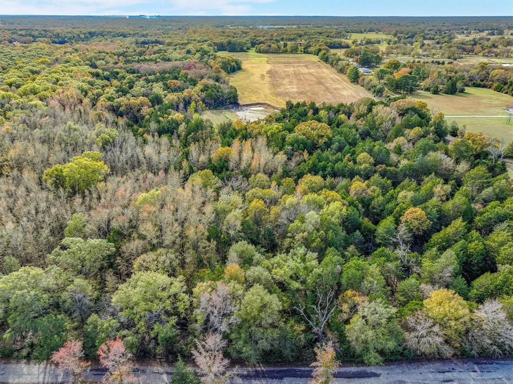 Tbd Vz County Road 3117 Property Photo 1
