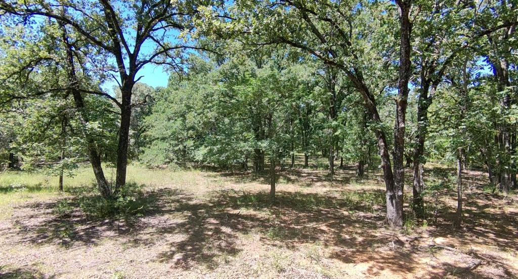 Lot 19 Saddle Creek Ct. Property Photo 1