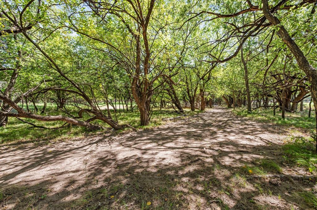 13109 Roanoke Road Property Photo 16