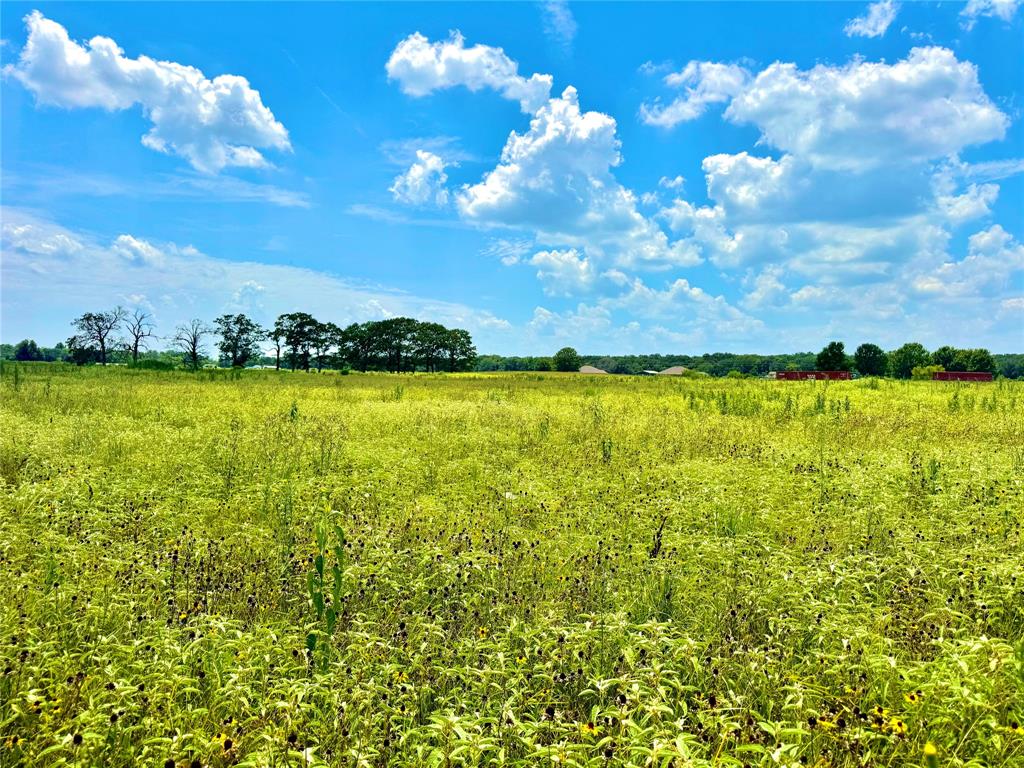 Tbd Tract 24 County Rd 3644 Property Photo 1