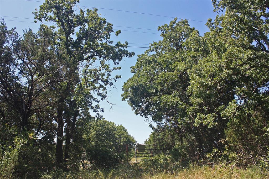 Tbd Paluxy Highway Property Photo 1