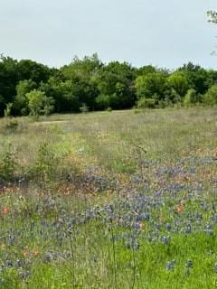 35 Longview Creek Trail Property Photo 1