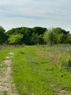 35 Longview Creek Trail Property Photo 2