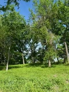 35 Longview Creek Trail Property Photo 3
