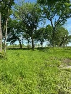 35 Longview Creek Trail Property Photo 4