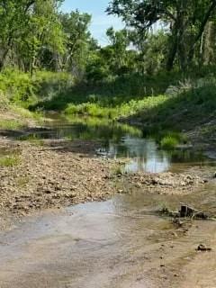 35 Longview Creek Trail Property Photo 5