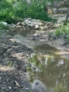 35 Longview Creek Trail Property Photo 7