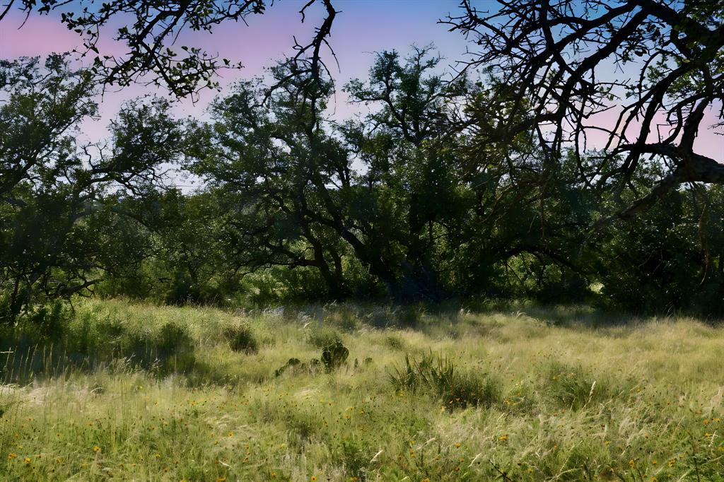 1 Cave Wells Ranch