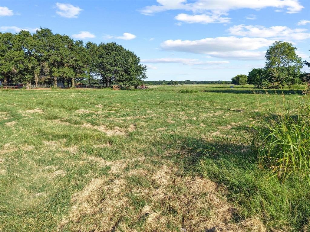 Tbd County Road 2131 Property Photo 1