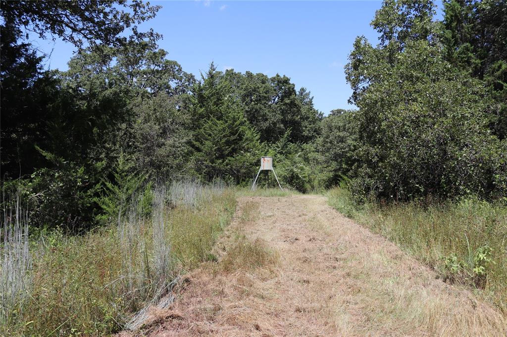 2642 Huddleston Property Photo 38