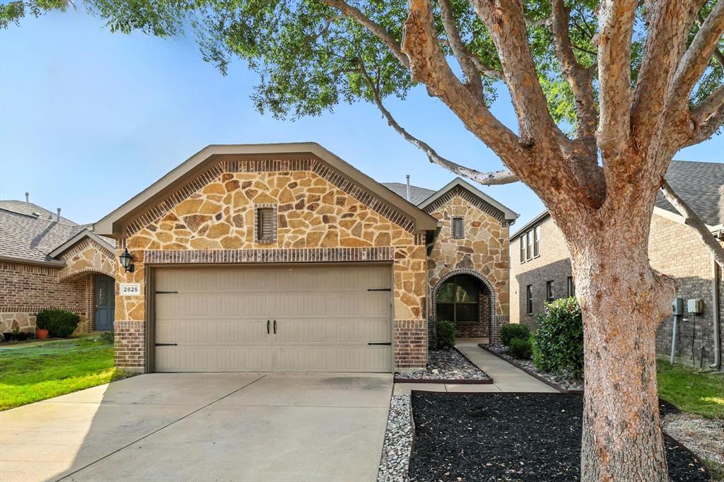 2825 Houston Wood Drive Property Photo 1