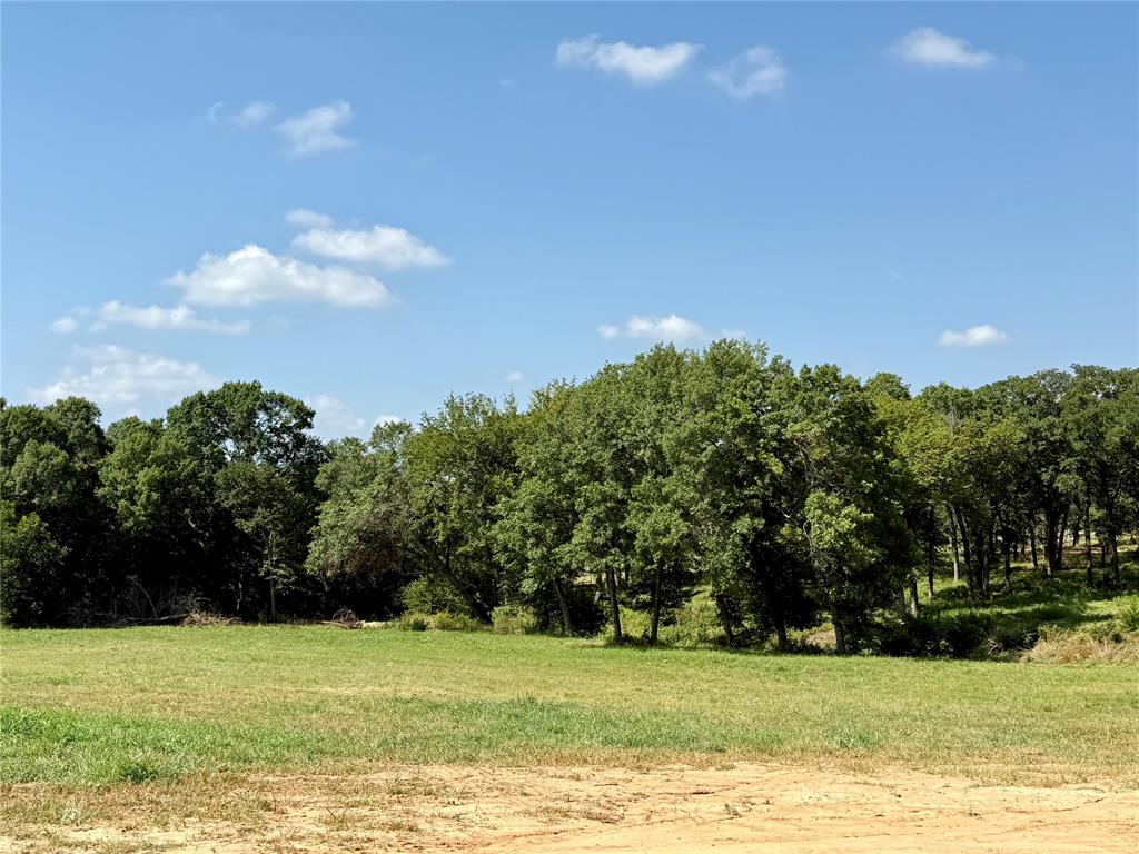 Lot 17 Colt Road Property Photo 1