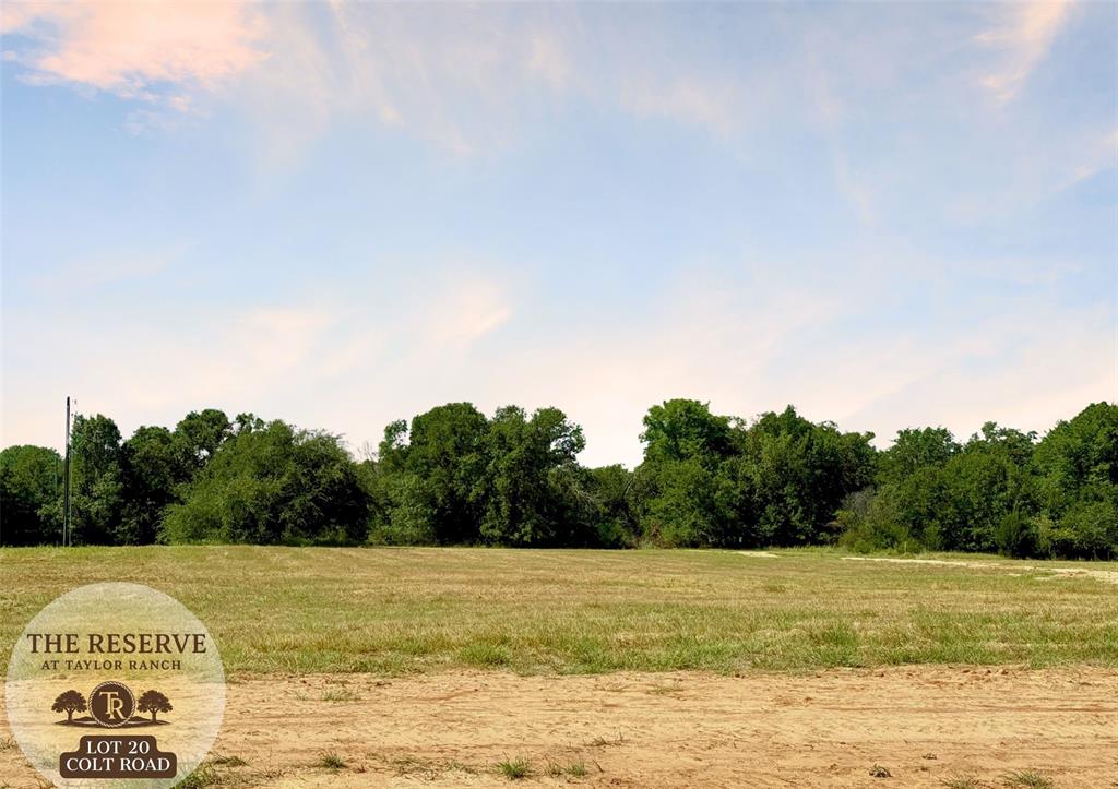 Lot 20 Colt Road Property Photo 1
