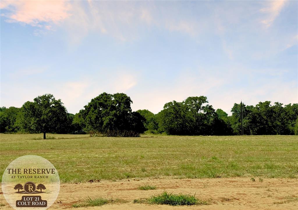 Lot 21 Colt Road Property Photo 1