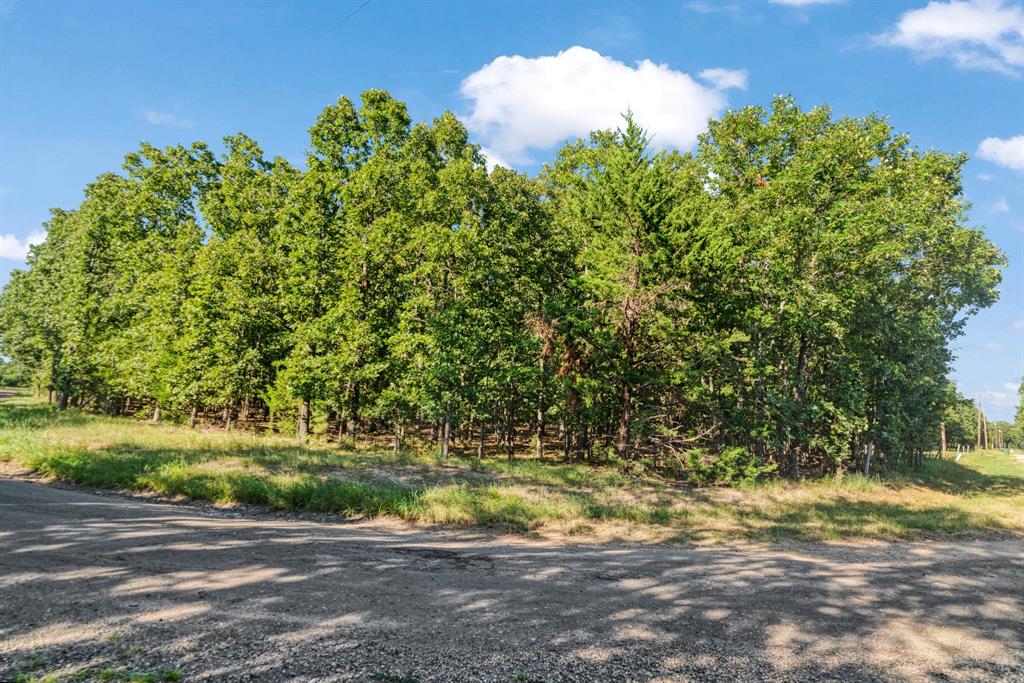 Tbd Cr 44550 Property Photo 1