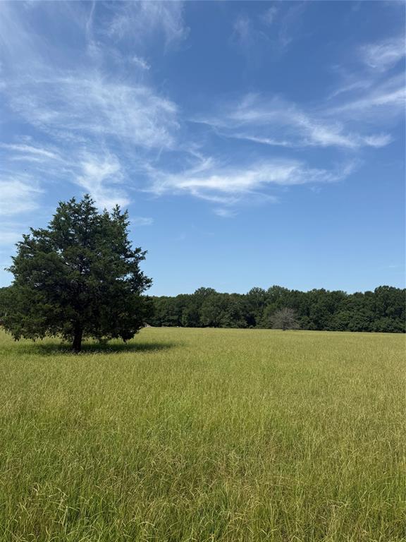 000 Fm 412 Property Photo 1