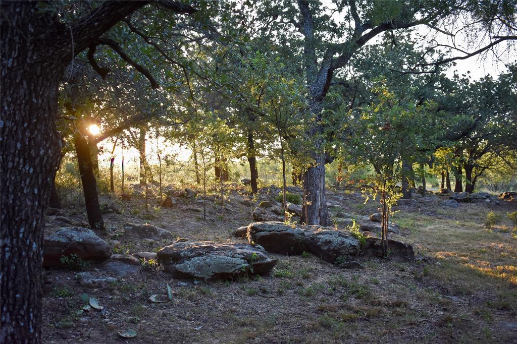 Tbd W Fm 1188 Property Photo 1
