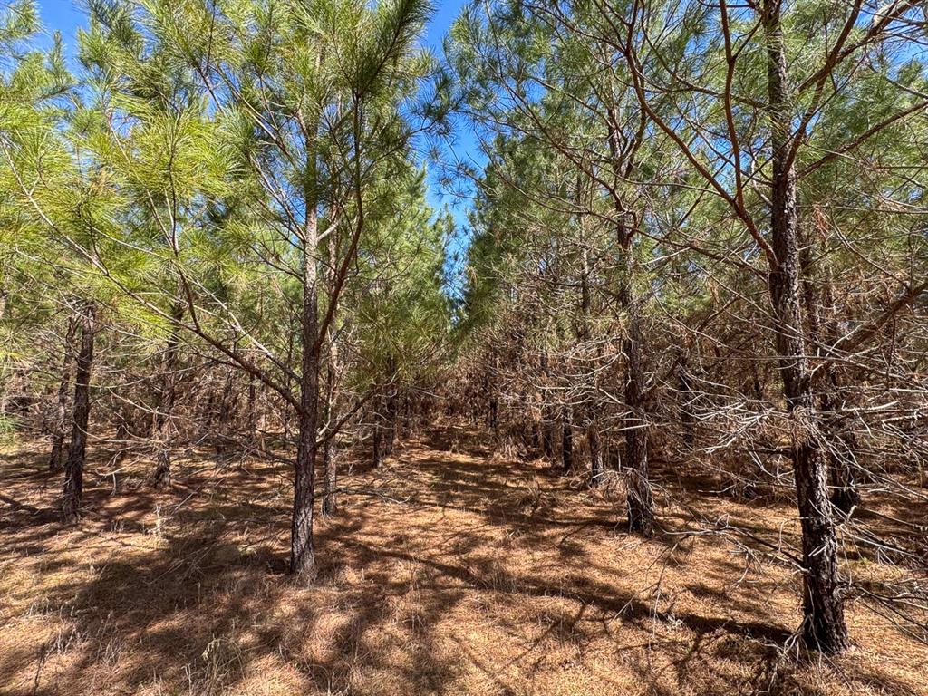 8 United Gas Road 1 Property Photo 10