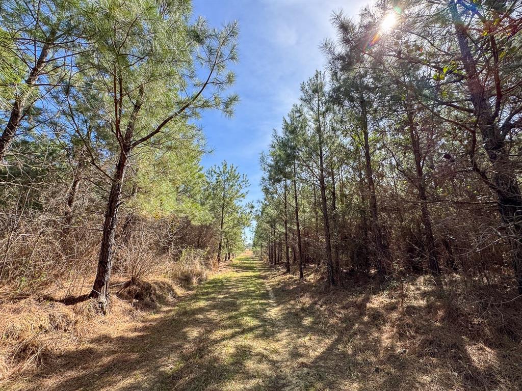 8 United Gas Road 1 Property Photo 12