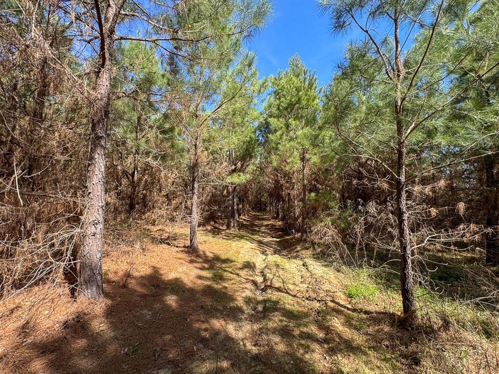 8 United Gas Road 1 Property Photo 13