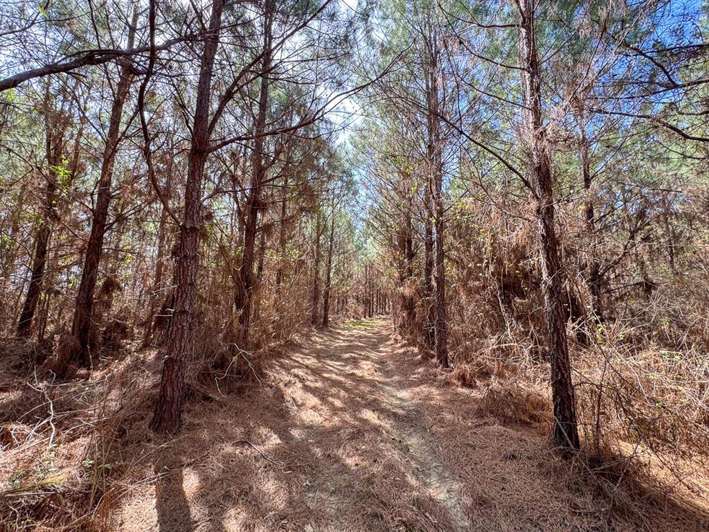 8 United Gas Road 1 Property Photo 14