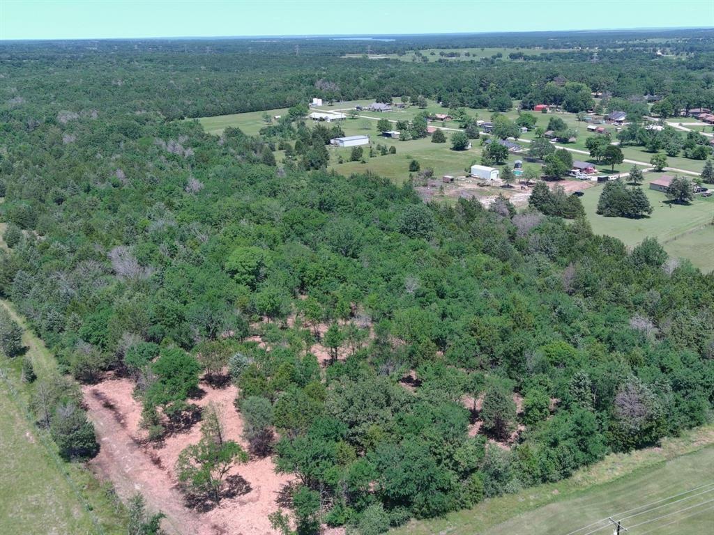 Tbd County Road 237 Property Photo 1