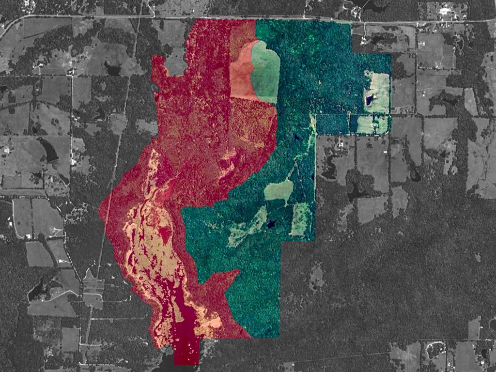 Tbd County Road 1197 Property Photo 1