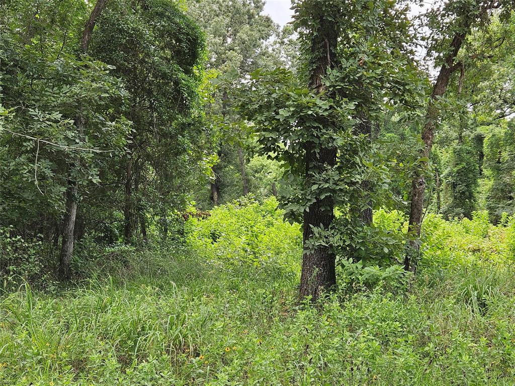 Tbd Ridge Way Property Photo 1