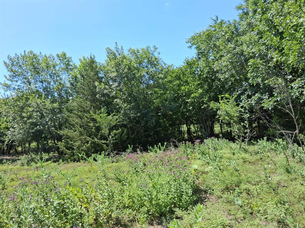 209 Texas Drive Property Photo 1