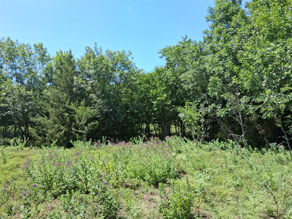 241 Texas Drive Property Photo 1