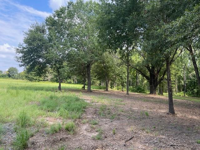 Lot#3 175 Highway Property Photo 1